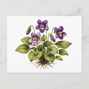 Postal Violeta Púrpura Estilo Botánico Vintage