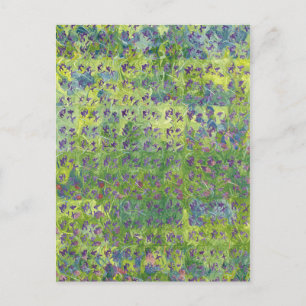 Postal Violetas dulces 2012