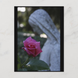 Postal Virgen María y la Rosa