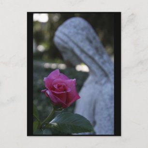 Postal Virgen María y la Rosa