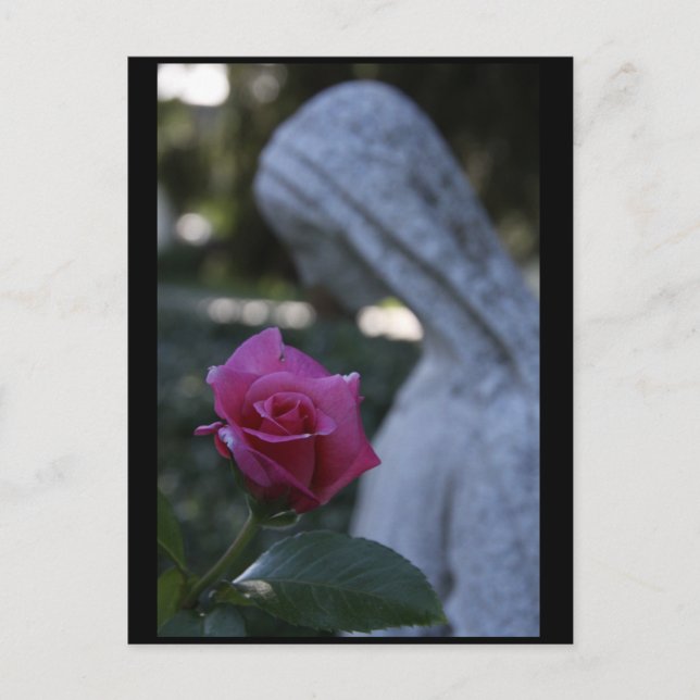 Postal Virgen María y la Rosa (Anverso)