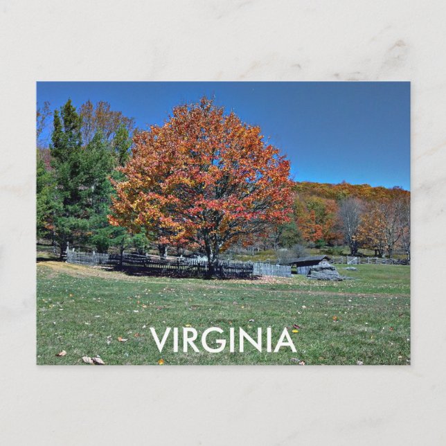 POSTAL VIRGINIA (Anverso)