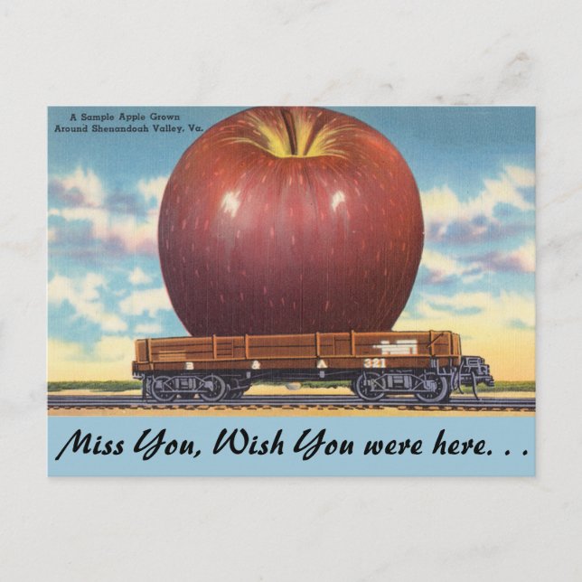Postal Virginia, Apple, Valle de Shenandoah (Anverso)