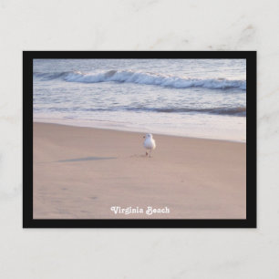 Postal Virginia Beach