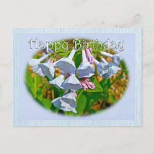 Postal Virginia Bluebells Happy Birthday Coordinate Item