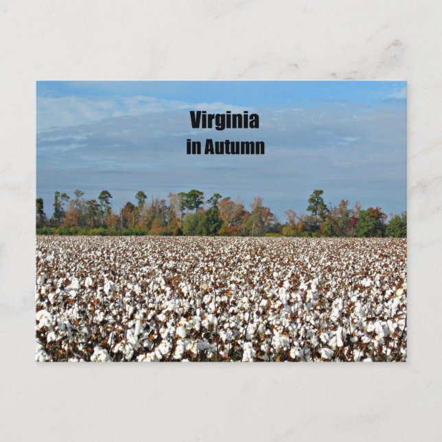 Postal Virginia en otoño (Anverso)