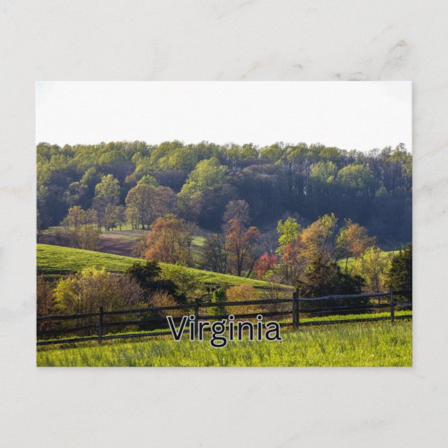 Postal Virginia Postcard Souvenir (Anverso)