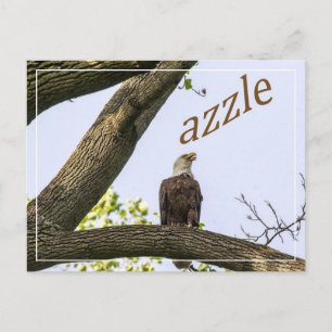 Postal Visiones del valle de Zazzle