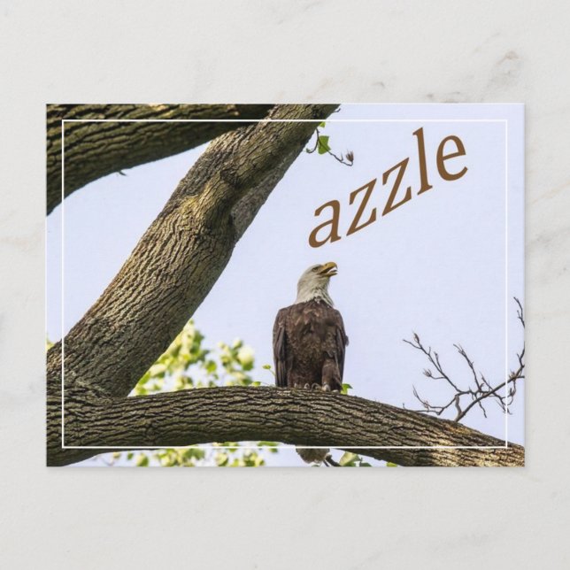 Postal Visiones del valle de Zazzle (Anverso)