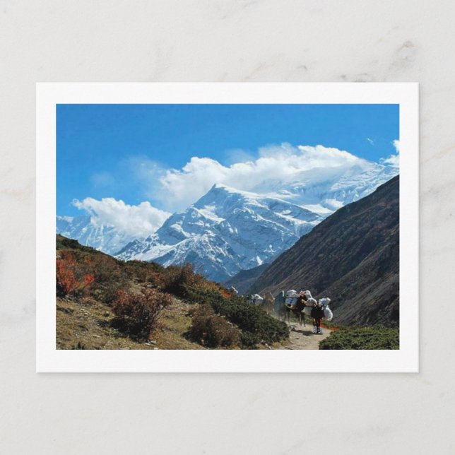 Postal Visiónes desde Nepal en manera al MONTE EVEREST (Anverso)
