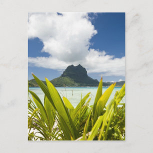 Postal Visita a la pequeña isla de picnic en la laguna de