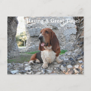 Postal Visita a la ruina del castillo de Basset Hound con