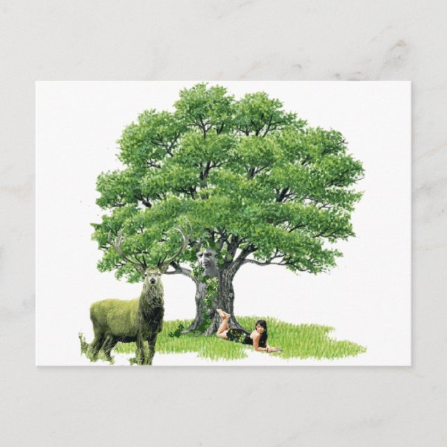 Postal Visita Con Padres Oak (Anverso)