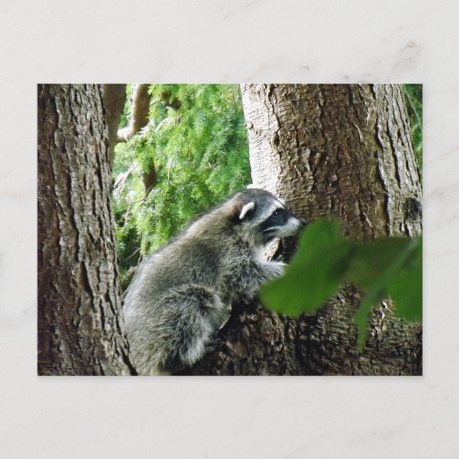 Postal Visitante inesperada, #6 (Anverso)