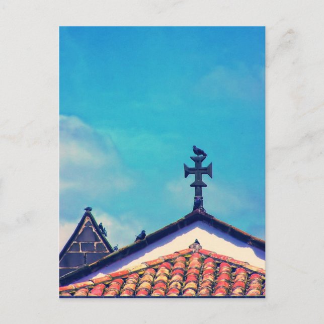 Postal Visitantes de la azotea : Funchal, Madeira (Portug (Anverso)