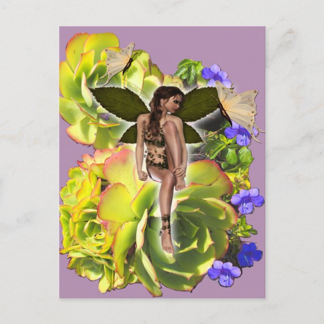 Postal Visitantes de Rosette Succulent (Anverso)