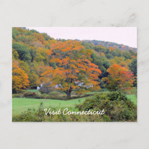 Postal Visitar CT