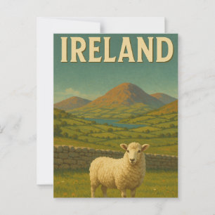 Postal Visitar Irlanda Sheep