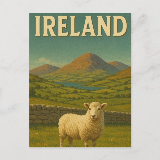 Postal Visitar Irlanda Sheep (Anverso)