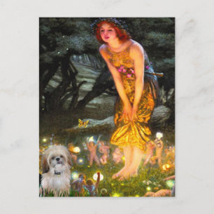 Postal Víspera de San Juan - Shih Tzu (P)