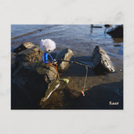 Postal Vissende Fubby op een steen.