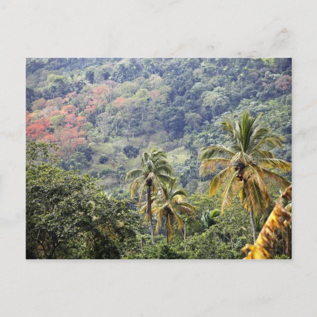 Postal Vista a la montaña, República Dominicana. (Anverso)