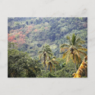 Postal Vista a la montaña, República Dominicana.