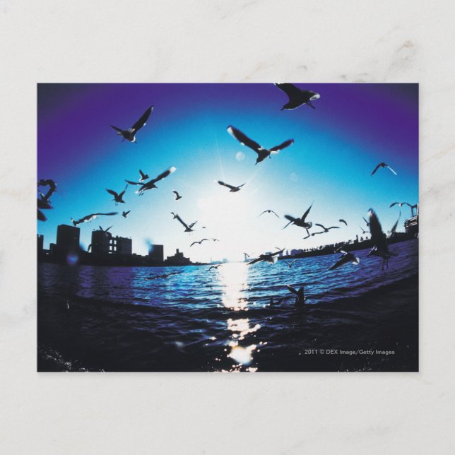 Postal Vista aérea de la bahía de Tokio, Japón (Anverso)