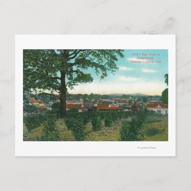 Postal Vista aérea de la ciudad de Sebastopol, CA (Anverso)