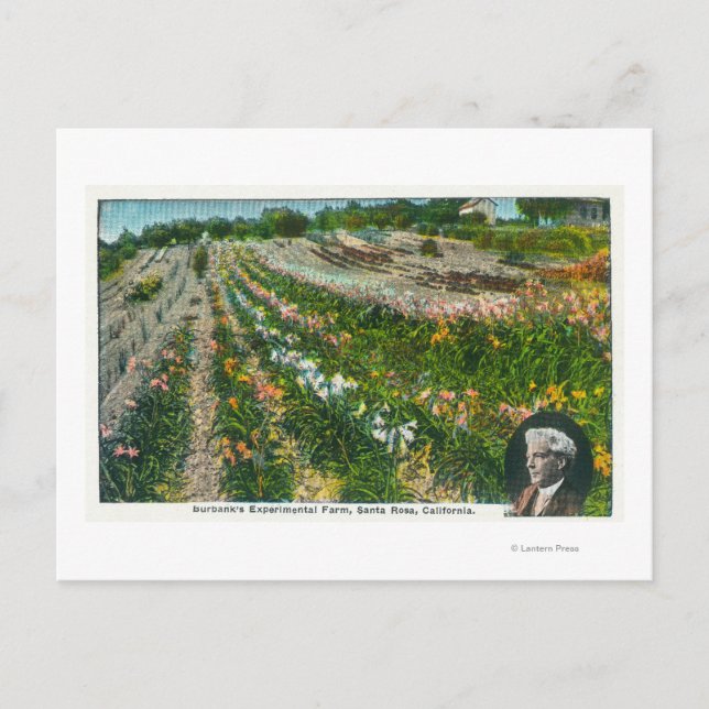 Postal Vista aérea de la granja experimental Burbanks (Anverso)