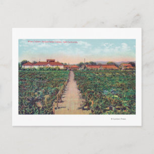 Postal Vista aérea de los viñedos y bodegas de vino