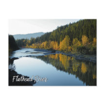 Vista al río Flathead con montañas y árboles caído