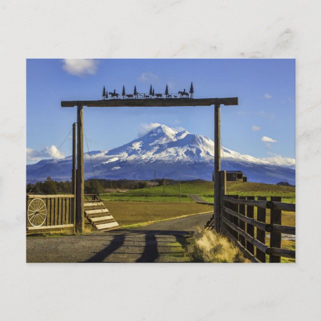 POSTAL VISTA ALEATORIA DE SHASTA (Anverso)