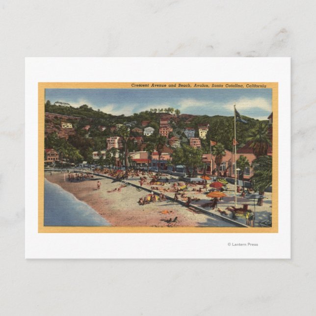 Postal Vista Avalon de la Avenida Crescent. & Beach (Anverso)