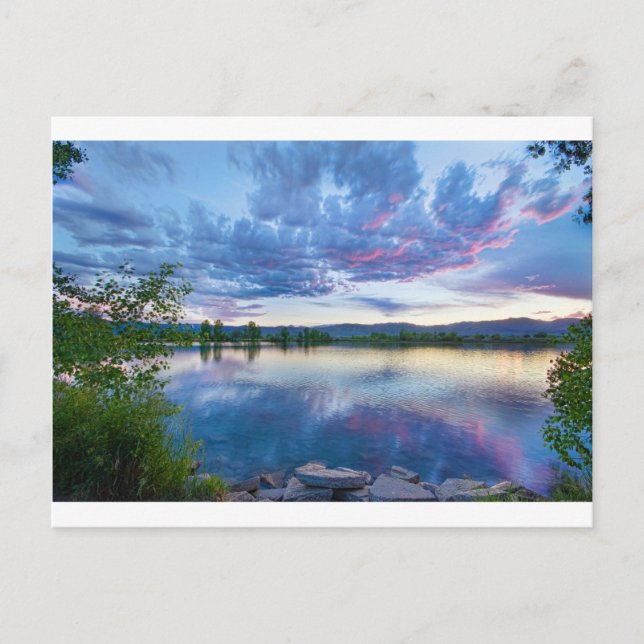 Postal Vista Coot Lake (Anverso)