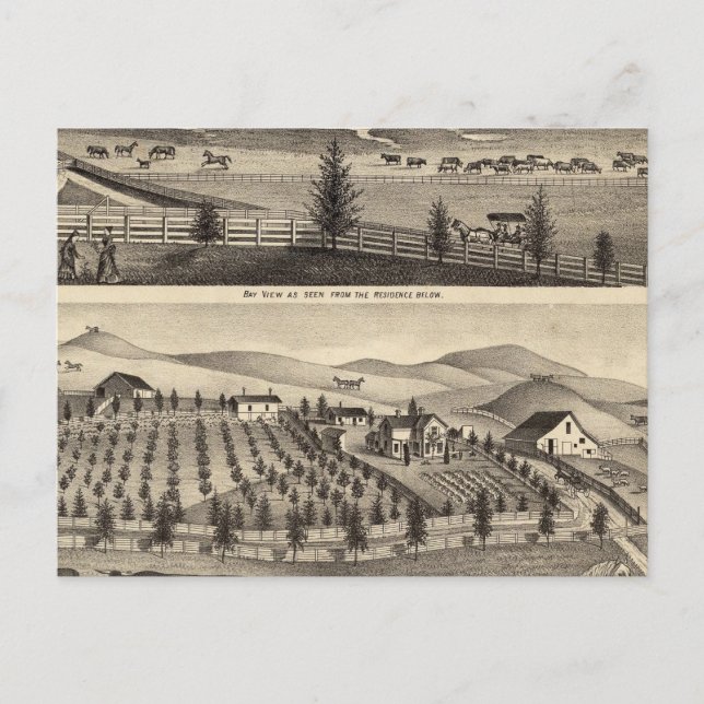 Postal Vista de bahía y residencia del Rosa JR (Anverso)