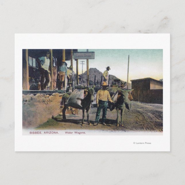 Postal Vista de burros llevando aguaBisbee, AZ (Anverso)