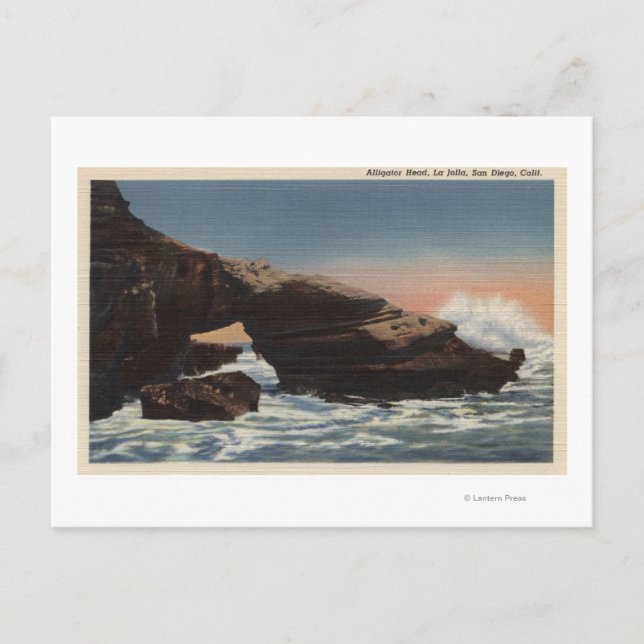 Postal Vista de Cabeza de Ligador, La Jolla (Anverso)