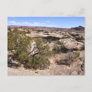 Postal Vista de Canyonlands desde el sendero Cave Springs