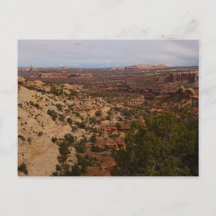 Postal Vista de Canyonlands desde el sendero Neck Springs