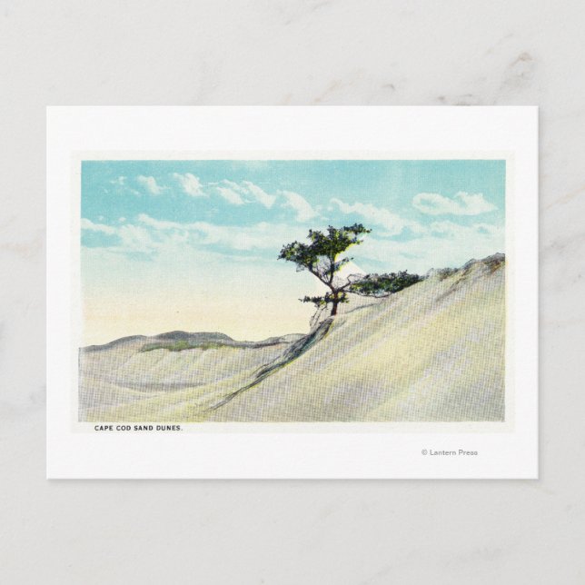 Postal Vista de Dorothy Bradford Steamer (Anverso)