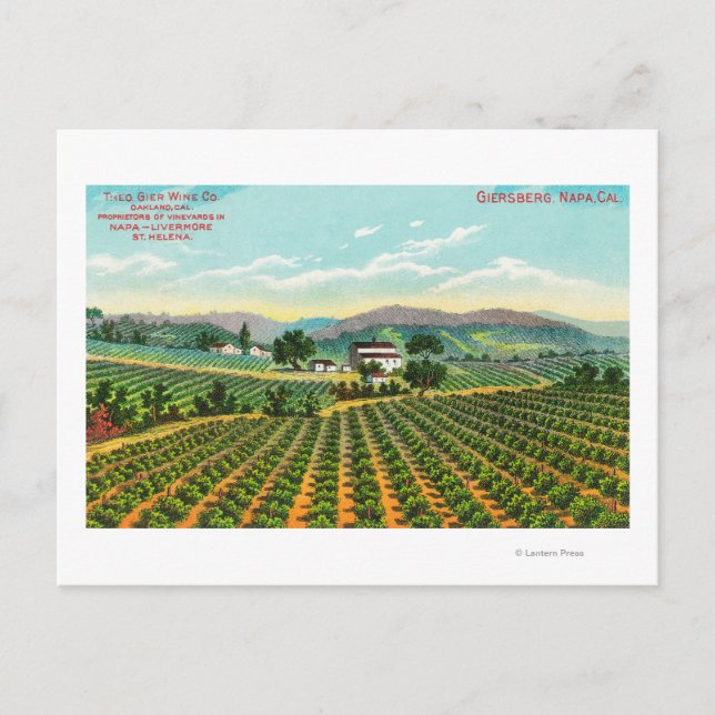 Postal Vista de Giersberg VineyardNapa, CA (Anverso)