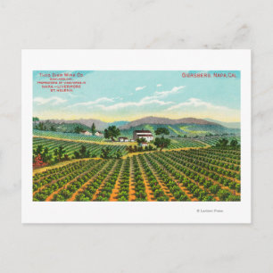 Postal Vista de Giersberg VineyardNapa, CA