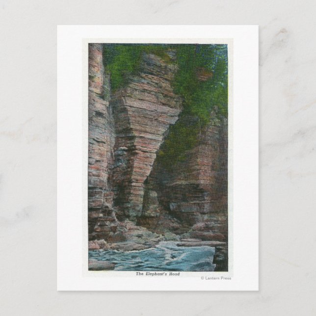 Postal Vista de la cabeza del elefante (Anverso)