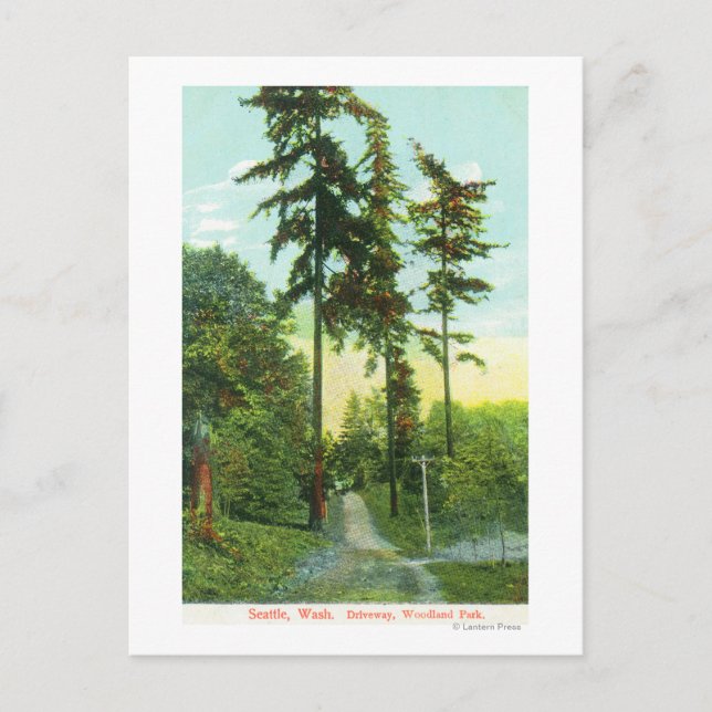 Postal Vista de la carretera en el parque Woodland (Anverso)