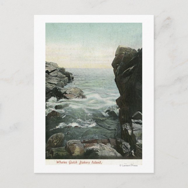 Postal Vista de la isla de Bakers, Gulch de ballenas (Anverso)