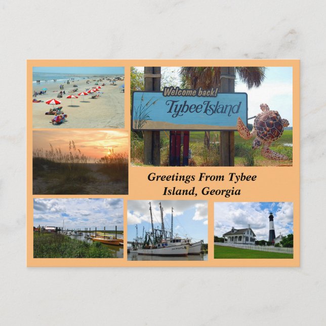 Postal Vista de la isla Tybee, Georgia Postcard (Anverso)