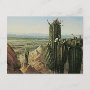 Postal Vista de la montaña Maricopa cerca de Rio Gila por
