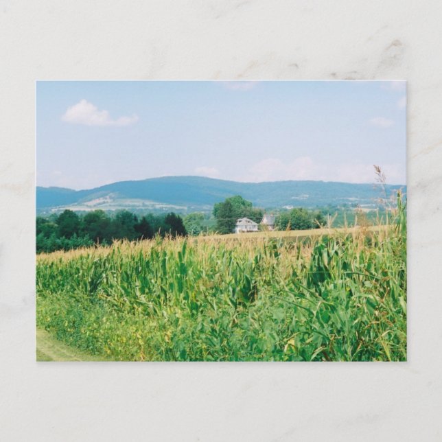 Postal Vista de la montaña sur, la brecha de Turner (Anverso)