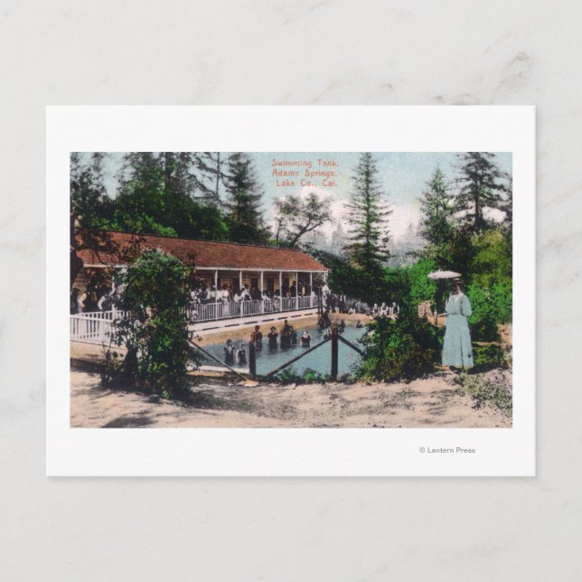 Postal Vista de la piscina Adams Springs, CA (Anverso)